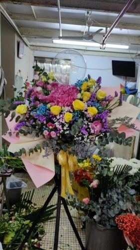 00000186-PHOTO-2023-03-31-20-47-02