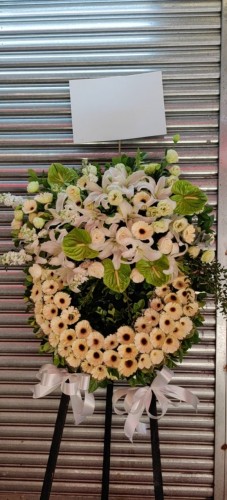 00000539-PHOTO-2023-04-01-08-59-38