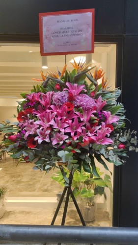 00000134-PHOTO-2023-03-31-20-46-47