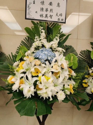 00000150-PHOTO-2023-03-31-20-46-51