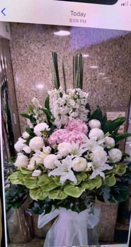 00000270-PHOTO-2023-03-31-20-57-14