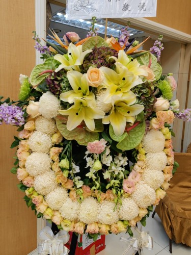 00000427-PHOTO-2023-04-01-08-49-56