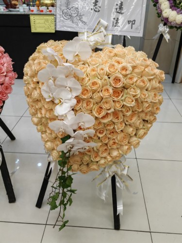 00000428-PHOTO-2023-04-01-08-49-56