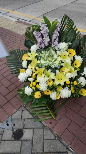 00000174-PHOTO-2023-03-31-20-46-58