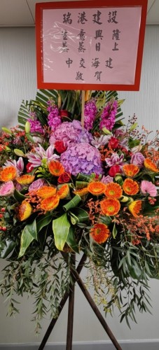 00000358-PHOTO-2023-04-01-08-44-59