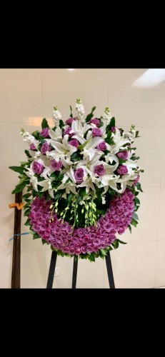 00000279-PHOTO-2023-03-31-20-57-16