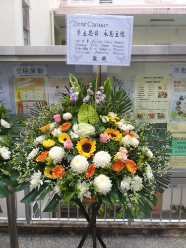 00000297-PHOTO-2023-03-31-20-57-22