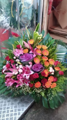 00000271-PHOTO-2023-03-31-20-57-14