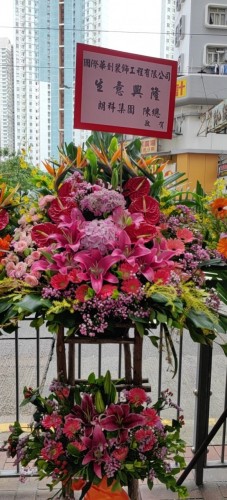 00000542-PHOTO-2023-04-01-08-59-38