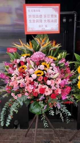 00000235-PHOTO-2023-03-31-20-57-02