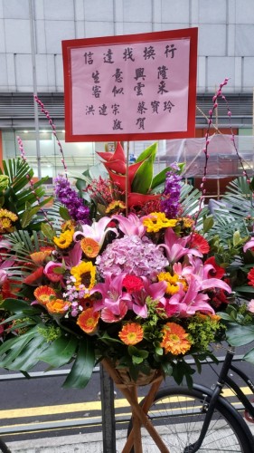 00000223-PHOTO-2023-03-31-20-56-52