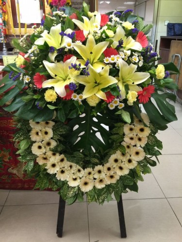 00000276-PHOTO-2023-03-31-20-57-16