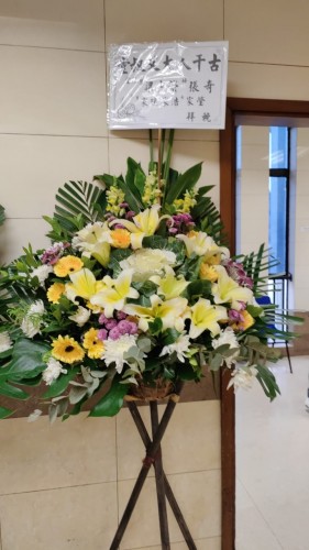 00000127-PHOTO-2023-03-31-20-46-46