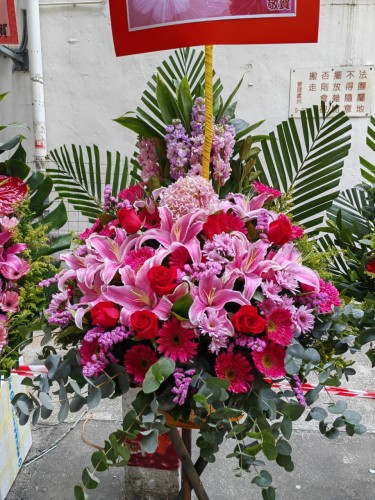 00000188-PHOTO-2023-03-31-20-47-03