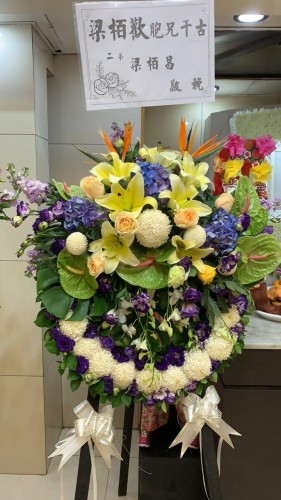 00000446-PHOTO-2023-04-01-08-50-07