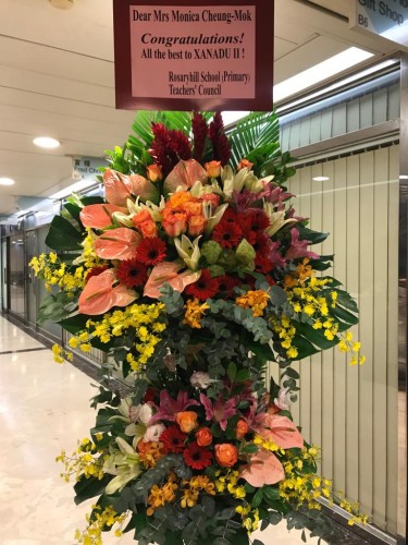 00000353-PHOTO-2023-04-01-08-44-58