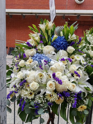 00000482-PHOTO-2023-04-01-08-50-25