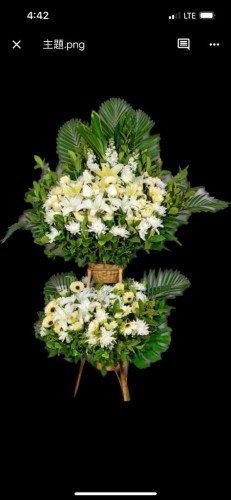 00000144-PHOTO-2023-03-31-20-46-49