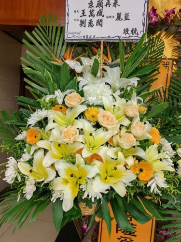 00000216-PHOTO-2023-03-31-20-56-48