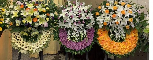 00000244-PHOTO-2023-03-31-20-57-04