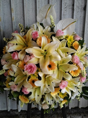 00000522-PHOTO-2023-04-01-08-59-33