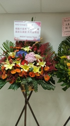 00000258-PHOTO-2023-03-31-20-57-10