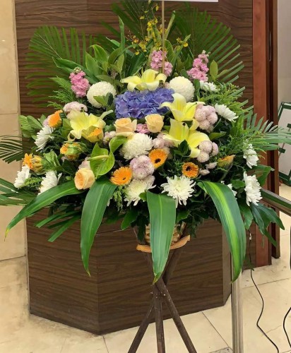 00000238-PHOTO-2023-03-31-20-57-03