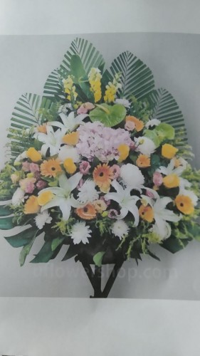 00000333-PHOTO-2023-04-01-08-44-50