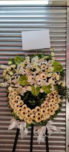 00000536-PHOTO-2023-04-01-08-59-37