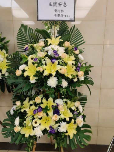 00000157-PHOTO-2023-03-31-20-46-53