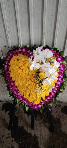 00000524-PHOTO-2023-04-01-08-59-33