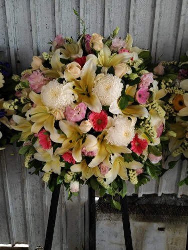 00000520-PHOTO-2023-04-01-08-59-32