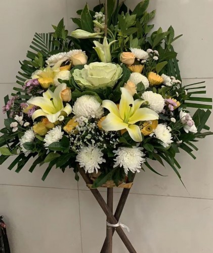 00000245-PHOTO-2023-03-31-20-57-05