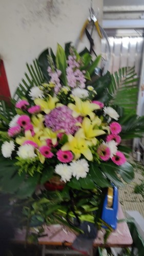 00000148-PHOTO-2023-03-31-20-46-50