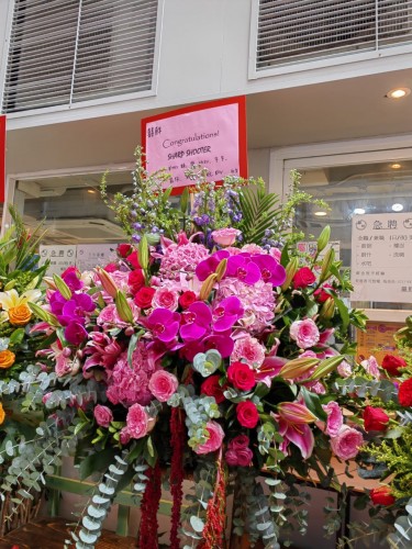 00000200-PHOTO-2023-03-31-20-56-42