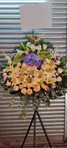 00000528-PHOTO-2023-04-01-08-59-34