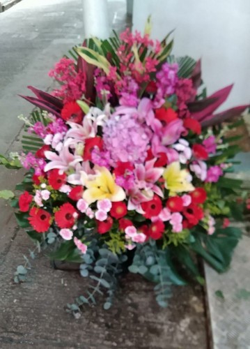 00000236-PHOTO-2023-03-31-20-57-02