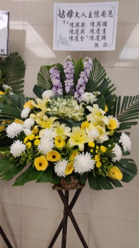 00000170-PHOTO-2023-03-31-20-46-57