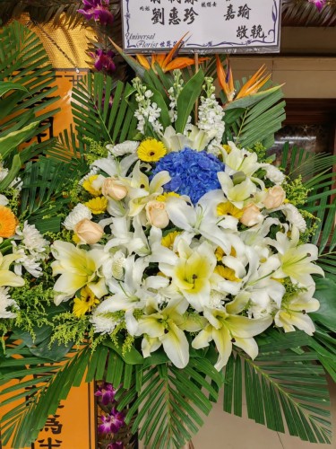 00000416-PHOTO-2023-04-01-08-49-51